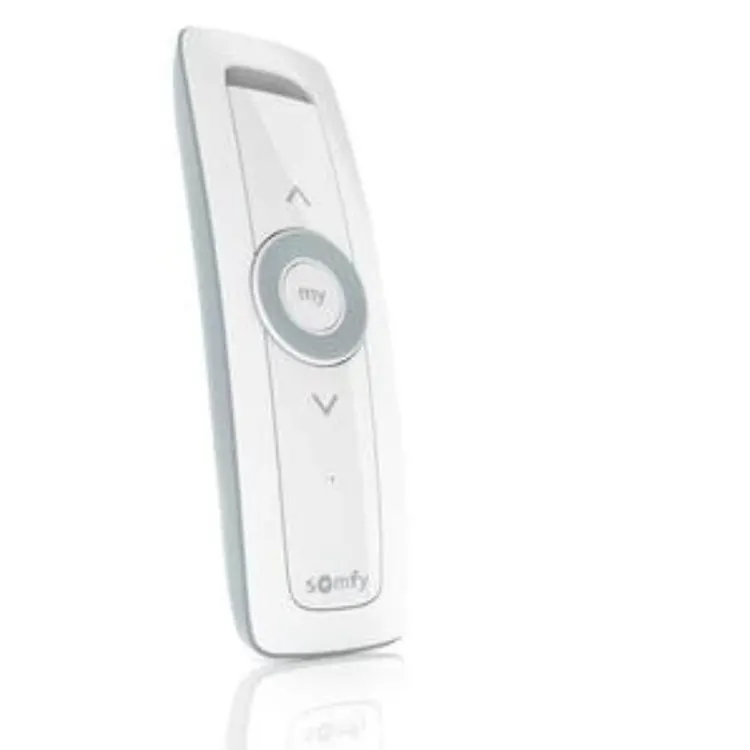 Situo 1 IO Variation - Pure II | Somfy